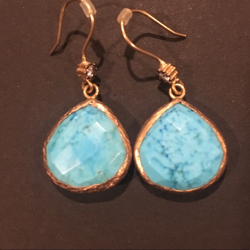 Beautiful blue stone earrings
